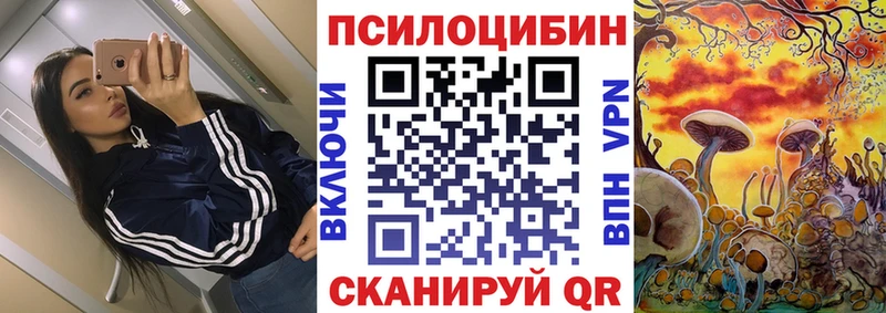 MEGA вход  Яранск  Псилоцибиновые грибы мицелий 